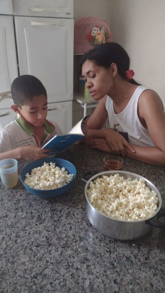 ICDP Brazil innovative project