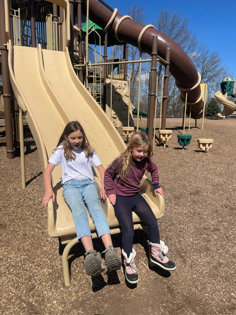 ICDP Newsletter, December 2025